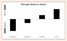 N-PRO: The Key to a Positive Nitrogen Balance